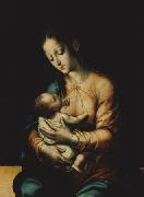 Luis de Morales Virgin and Child oil